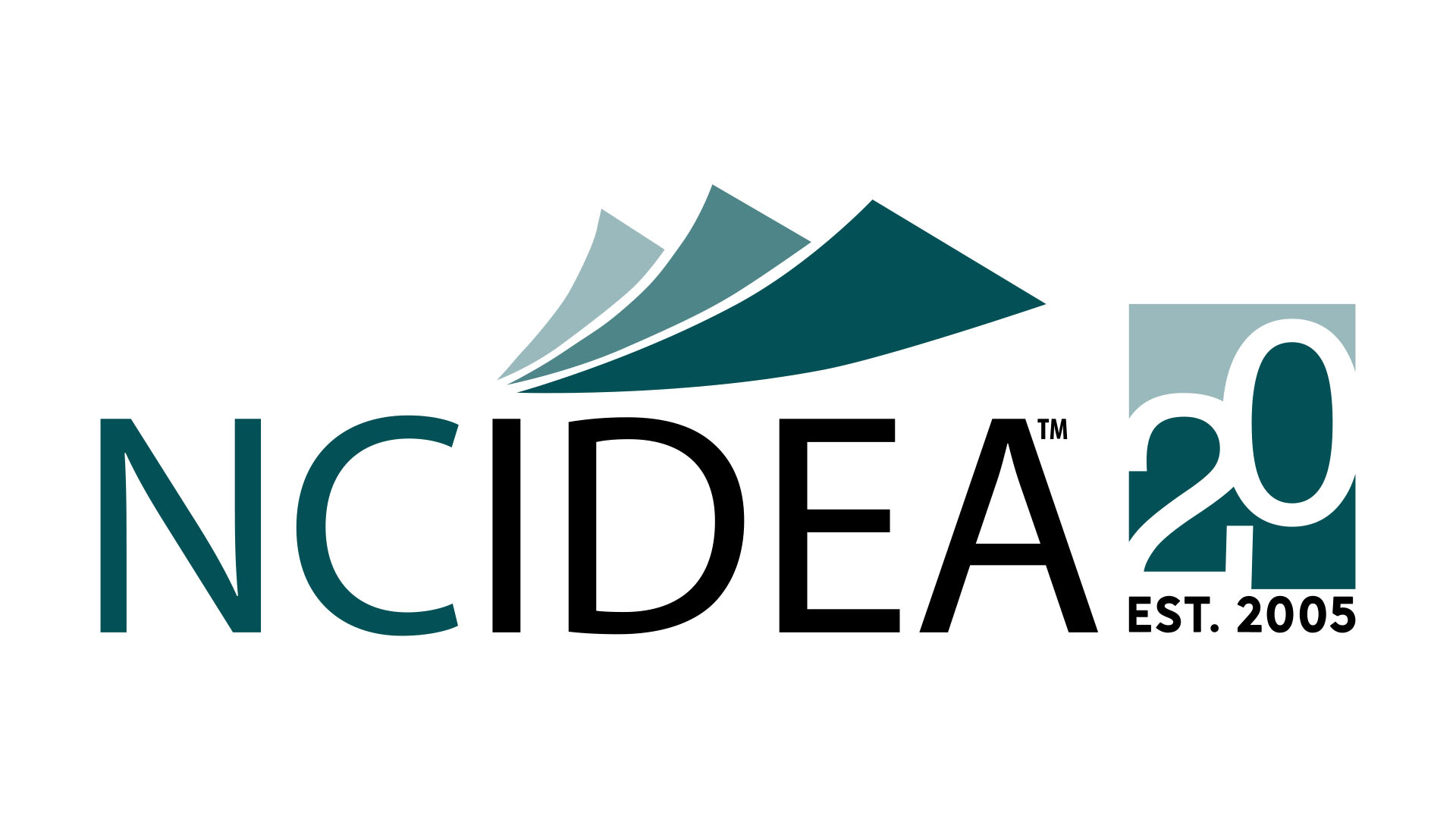 NC IDEA logo