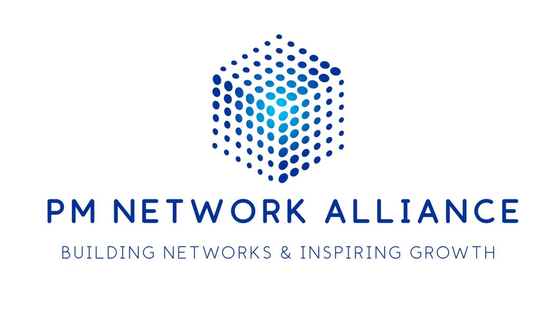 PM Network Alliance Meetup Group logo