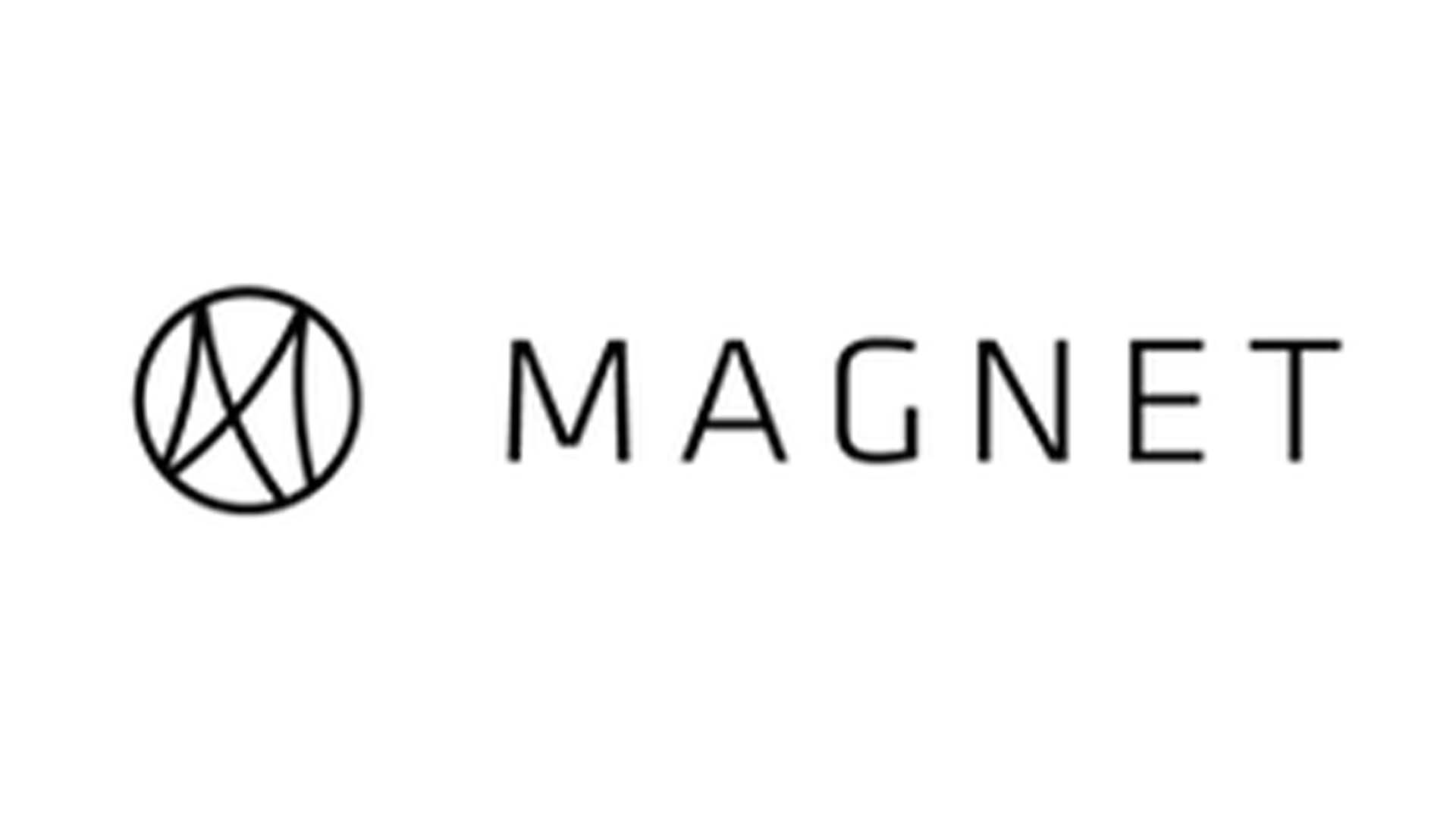 Magnet Triangle logo